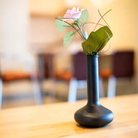 Elegant Eingerichtete Appartement Granzow